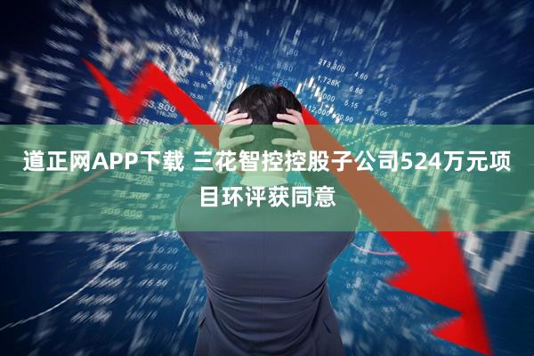 道正网APP下载 三花智控控股子公司524万元项目环评获同意