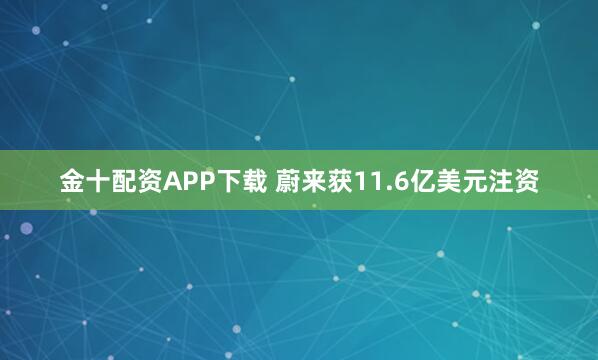 金十配资APP下载 蔚来获11.6亿美元注资