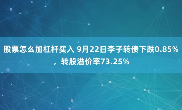 股票怎么加杠杆买入 9月22日李子转债下跌0.85%，转股溢价率73.25%