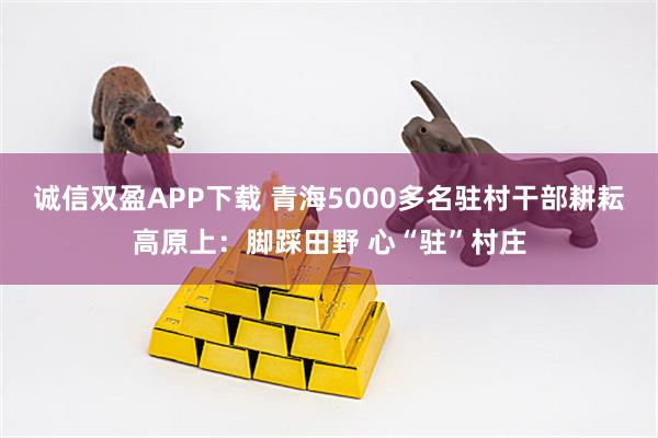 诚信双盈APP下载 青海5000多名驻村干部耕耘高原上：脚踩田野 心“驻”村庄