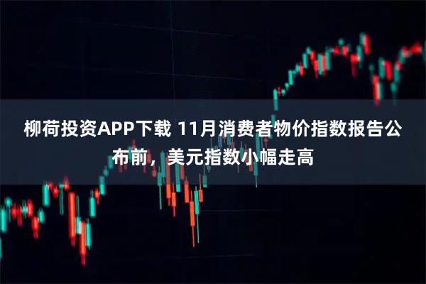柳荷投资APP下载 11月消费者物价指数报告公布前，美元指数小幅走高