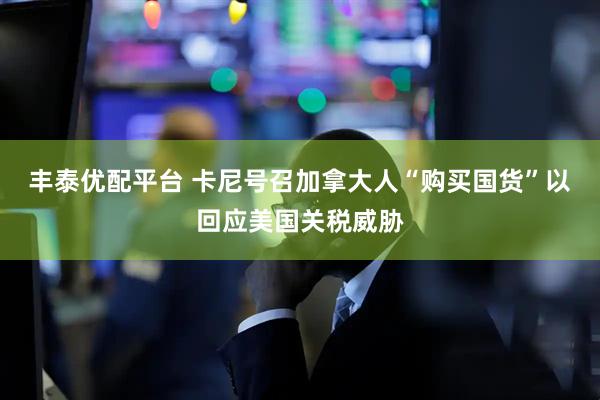 丰泰优配平台 卡尼号召加拿大人“购买国货”以回应美国关税威胁